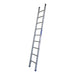 Indalex PROSG10 3.0M  Industrial Aluminium 180KG Pro Series Single Ladder, view 1, on white background