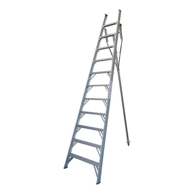 Indalex PROT12 3.7M  Industrial Aluminium 150KG Pro Series Orchard Ladder, view 3, on white background